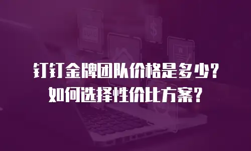 钉钉金牌团队价格是多少？如何选择性价比方案？