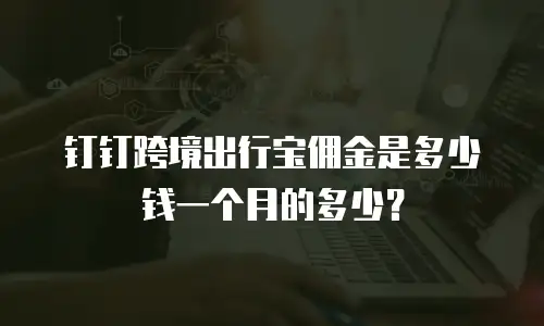 钉钉跨境出行宝佣金是多少钱一个月的多少？