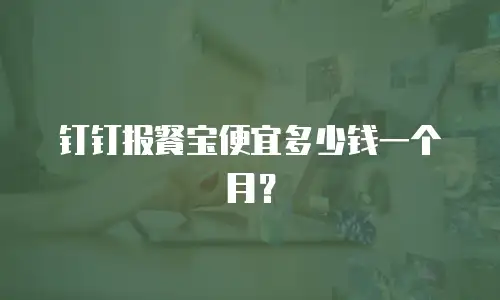 钉钉报餐宝便宜多少钱一个月？