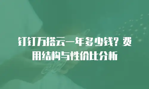 钉钉万搭云一年多少钱？费用结构与性价比分析