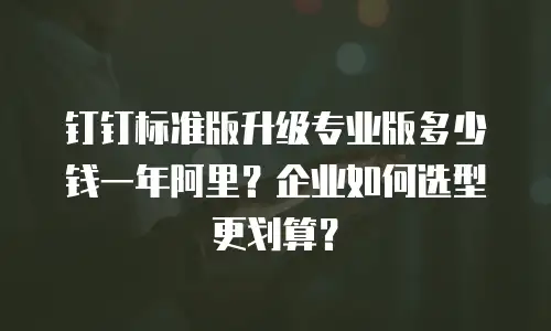 钉钉标准版升级专业版多少钱一年阿里？企业如何选型更划算？