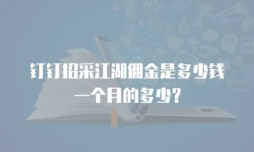 钉钉招采江湖佣金是多少钱一个月的多少？
