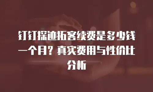 钉钉探迹拓客续费是多少钱一个月？真实费用与性价比分析