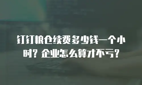 钉钉粮仓续费多少钱一个小时？企业怎么算才不亏？