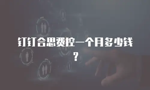 钉钉合思费控一个月多少钱？