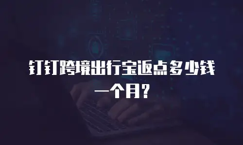 钉钉跨境出行宝返点多少钱一个月？