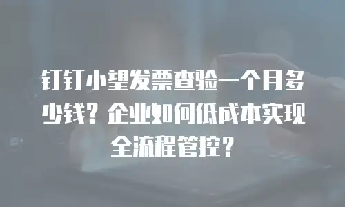 钉钉小望发票查验一个月多少钱？企业如何低成本实现全流程管控？