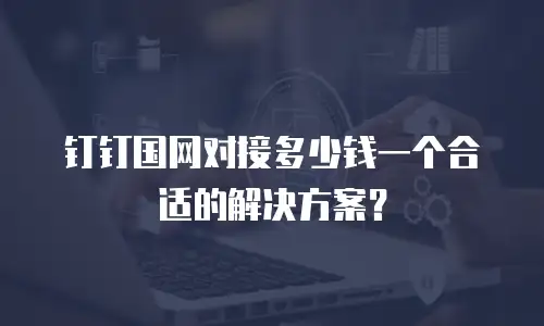 钉钉国网对接多少钱一个合适的解决方案？
