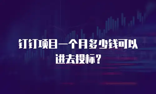 钉钉项目一个月多少钱可以进去投标？