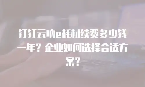 钉钉云呐e耗材续费多少钱一年？企业如何选择合适方案？