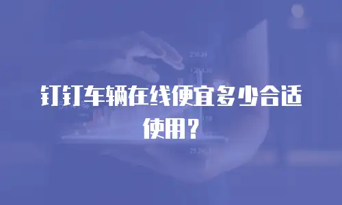 钉钉车辆在线便宜多少合适使用？