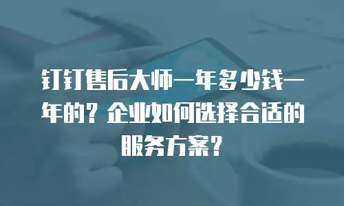 钉钉售后大师一年多少钱一年的？企业如何选择合适的服务方案？