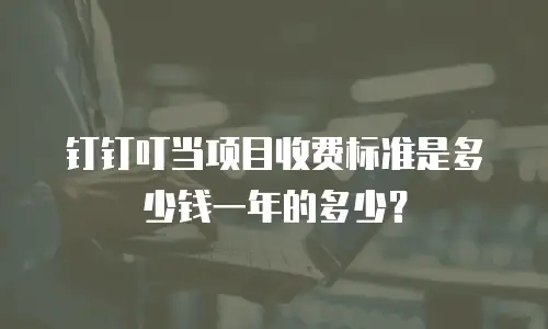 钉钉叮当项目收费标准是多少钱一年的多少？