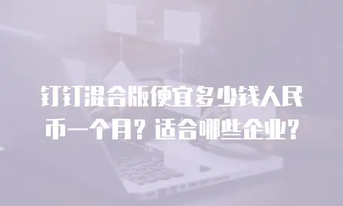 钉钉混合版便宜多少钱人民币一个月？适合哪些企业？
