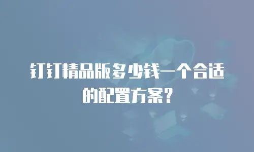 钉钉精品版多少钱一个合适的配置方案？