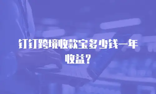 钉钉跨境收款宝多少钱一年收益？