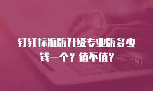 钉钉标准版升级专业版多少钱一个？值不值？