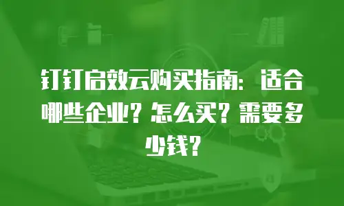 钉钉启效云购买指南：适合哪些企业？怎么买？需要多少钱？