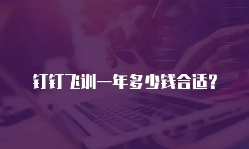 钉钉飞训一年多少钱合适？