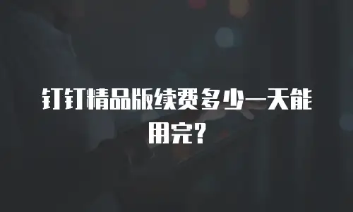 钉钉精品版续费多少一天能用完？