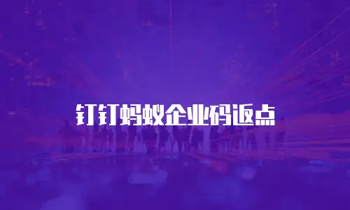 钉钉蚂蚁企业码返点