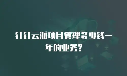 钉钉云派项目管理多少钱一年的业务？
