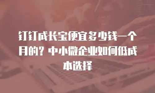 钉钉成长宝便宜多少钱一个月的？中小微企业如何低成本选择