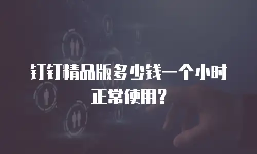 钉钉精品版多少钱一个小时正常使用？