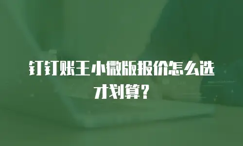 钉钉账王小微版报价怎么选才划算？
