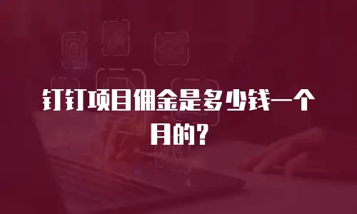 钉钉项目佣金是多少钱一个月的？