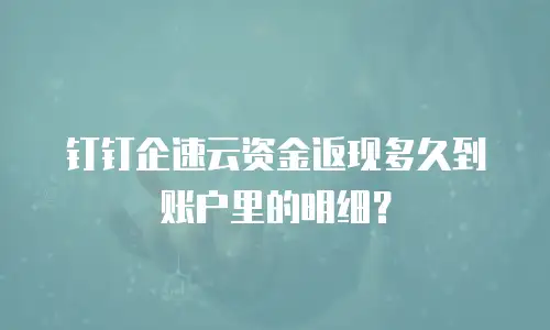 钉钉企速云资金返现多久到账户里的明细？