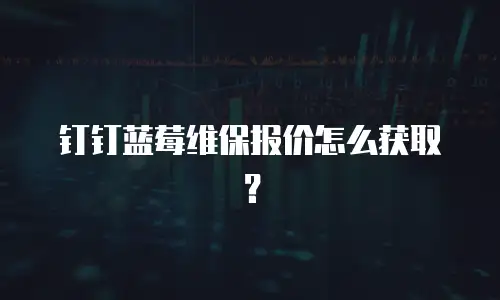 钉钉蓝莓维保报价怎么获取？