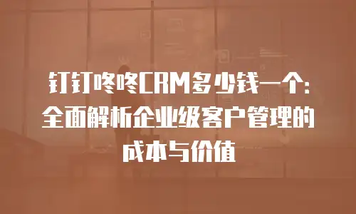 钉钉咚咚CRM多少钱一个：全面解析企业级客户管理的成本与价值