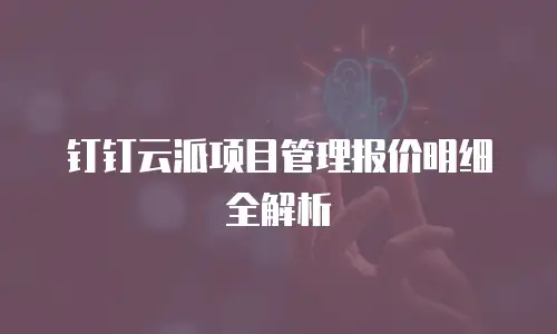 钉钉云派项目管理报价明细全解析