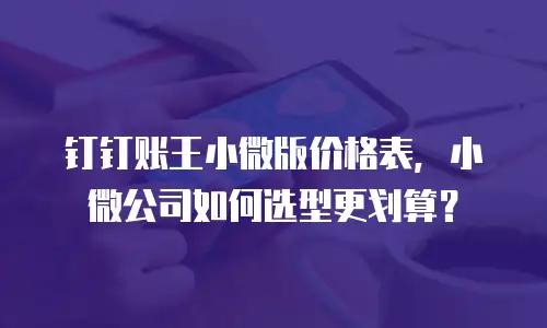 钉钉账王小微版价格表，小微公司如何选型更划算？