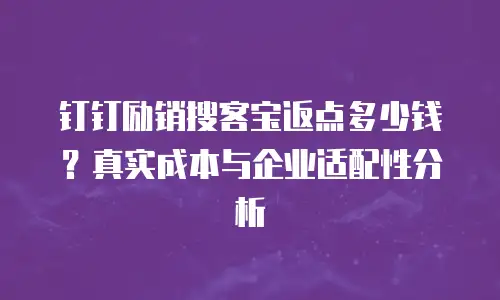 钉钉励销搜客宝返点多少钱？真实成本与企业适配性分析