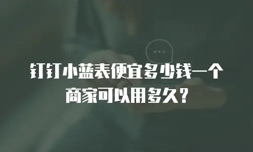 钉钉小蓝表便宜多少钱一个商家可以用多久？