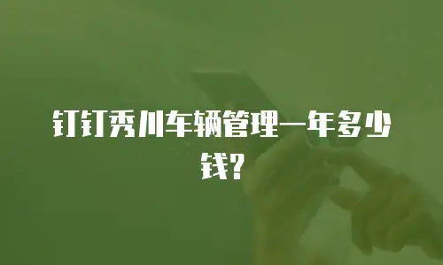 钉钉秀川车辆管理一年多少钱？