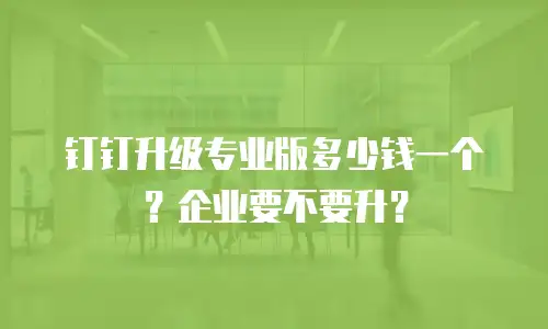 钉钉升级专业版多少钱一个？企业要不要升？