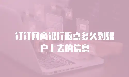 钉钉网商银行返点多久到账户上去的信息