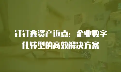 钉钉鑫资产返点：企业数字化转型的高效解决方案