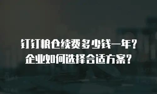 钉钉粮仓续费多少钱一年？企业如何选择合适方案？