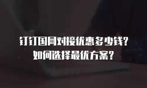 钉钉国网对接优惠多少钱？如何选择最优方案？