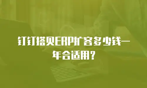 钉钉搭贝ERP扩容多少钱一年合适用？