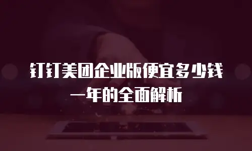 钉钉美团企业版便宜多少钱一年的全面解析