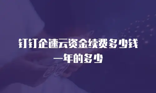钉钉企速云资金续费多少钱一年的多少