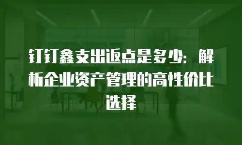 钉钉鑫支出返点是多少：解析企业资产管理的高性价比选择