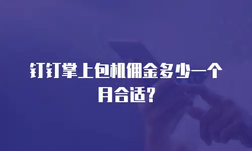 钉钉掌上包机佣金多少一个月合适？