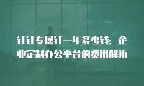 钉钉专属钉一年多少钱：企业定制办公平台的费用解析