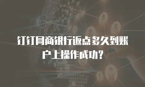 钉钉网商银行返点多久到账户上操作成功？